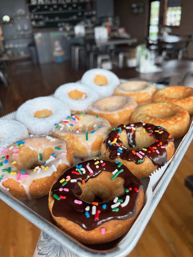 A tray of donuts: chocolate and vanilla glazed with rainbow sprinkles, sugar-dusted and plain